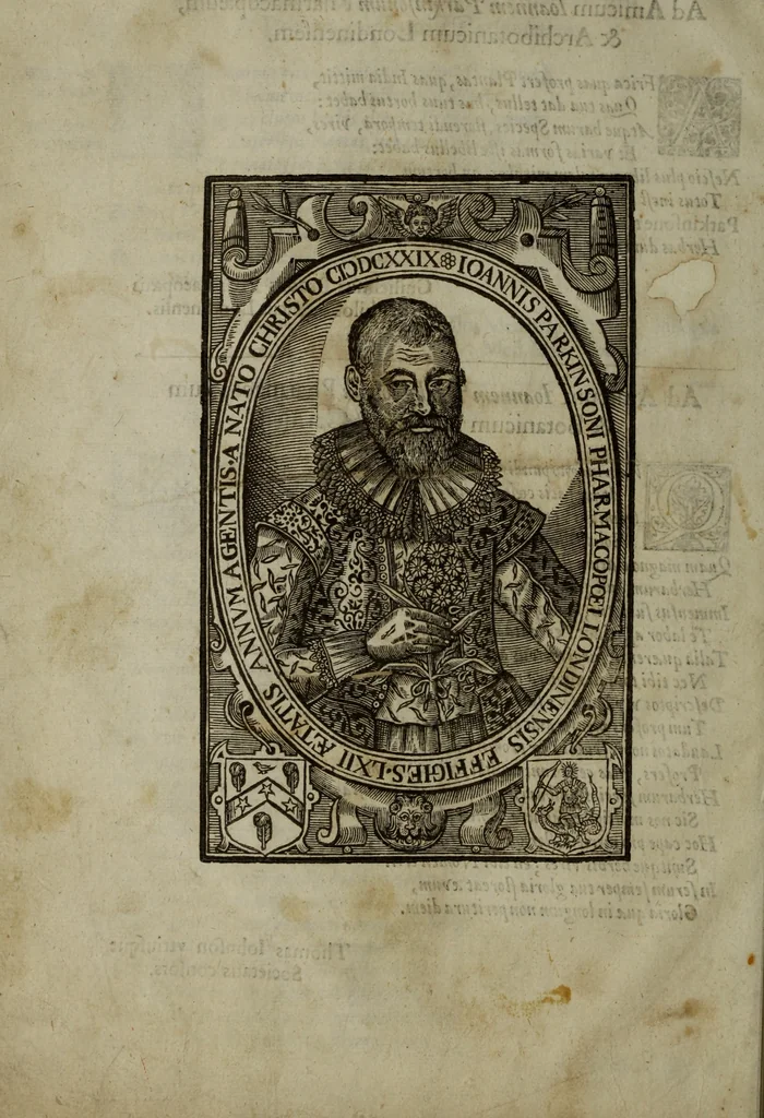 An illustration from Paradisi in sole, paradisus terrestris : or, a choice garden of all sorts of rarest flowers : with their nature, place of birth, time of flowering, names, and vertues to each plant, useful in physick, or admired for beauty. To which is annext a kitchen-garden furnished with all manner of herbs, roots, and fruits, for meat or sawce used with us. With the art of planting an orchard of all sorts of fruit-bearing trees and shrubs, shewing the nature of grafting, inoculating and pruning of them. Together with the right ordering, planting and preserving of them, with their select vertues: All unmentioned in former Herbals, 1656, leaf 17