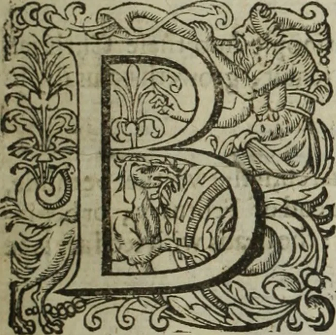 An illustration from Paradisi in sole, paradisus terrestris : or, a choice garden of all sorts of rarest flowers : with their nature, place of birth, time of flowering, names, and vertues to each plant, useful in physick, or admired for beauty. To which is annext a kitchen-garden furnished with all manner of herbs, roots, and fruits, for meat or sawce used with us. With the art of planting an orchard of all sorts of fruit-bearing trees and shrubs, shewing the nature of grafting, inoculating and pruning of them. Together with the right ordering, planting and preserving of them, with their select vertues: All unmentioned in former Herbals, 1656, leaf 44