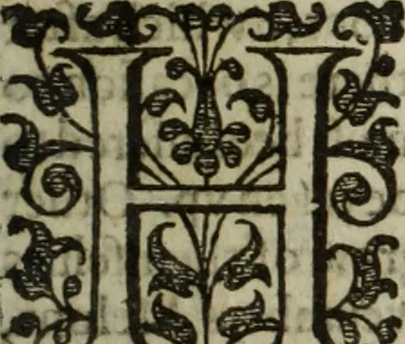 An illustration from Paradisi in sole, paradisus terrestris : or, a choice garden of all sorts of rarest flowers : with their nature, place of birth, time of flowering, names, and vertues to each plant, useful in physick, or admired for beauty. To which is annext a kitchen-garden furnished with all manner of herbs, roots, and fruits, for meat or sawce used with us. With the art of planting an orchard of all sorts of fruit-bearing trees and shrubs, shewing the nature of grafting, inoculating and pruning of them. Together with the right ordering, planting and preserving of them, with their select vertues: All unmentioned in former Herbals, 1656, leaf 472