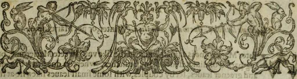 An illustration from Paradisi in sole, paradisus terrestris : or, a choice garden of all sorts of rarest flowers : with their nature, place of birth, time of flowering, names, and vertues to each plant, useful in physick, or admired for beauty. To which is annext a kitchen-garden furnished with all manner of herbs, roots, and fruits, for meat or sawce used with us. With the art of planting an orchard of all sorts of fruit-bearing trees and shrubs, shewing the nature of grafting, inoculating and pruning of them. Together with the right ordering, planting and preserving of them, with their select vertues: All unmentioned in former Herbals, 1656, leaf 484
