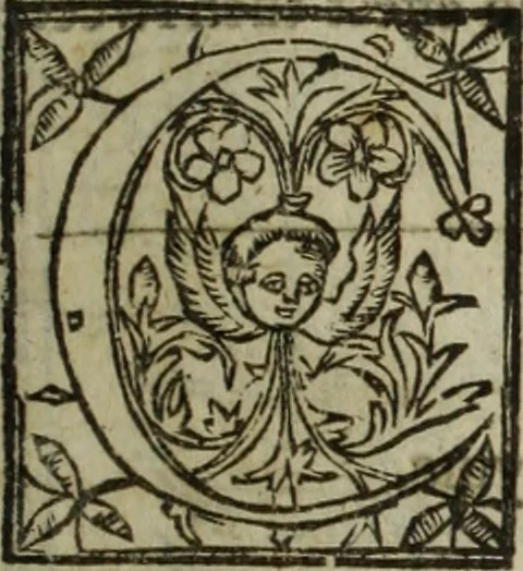 An illustration from Paradisi in sole, paradisus terrestris : or, a choice garden of all sorts of rarest flowers : with their nature, place of birth, time of flowering, names, and vertues to each plant, useful in physick, or admired for beauty. To which is annext a kitchen-garden furnished with all manner of herbs, roots, and fruits, for meat or sawce used with us. With the art of planting an orchard of all sorts of fruit-bearing trees and shrubs, shewing the nature of grafting, inoculating and pruning of them. Together with the right ordering, planting and preserving of them, with their select vertues: All unmentioned in former Herbals, 1656, leaf 484
