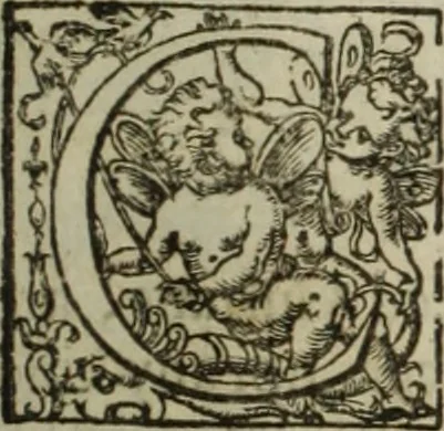An illustration from Paradisi in sole, paradisus terrestris : or, a choice garden of all sorts of rarest flowers : with their nature, place of birth, time of flowering, names, and vertues to each plant, useful in physick, or admired for beauty. To which is annext a kitchen-garden furnished with all manner of herbs, roots, and fruits, for meat or sawce used with us. With the art of planting an orchard of all sorts of fruit-bearing trees and shrubs, shewing the nature of grafting, inoculating and pruning of them. Together with the right ordering, planting and preserving of them, with their select vertues: All unmentioned in former Herbals, 1656, leaf 566
