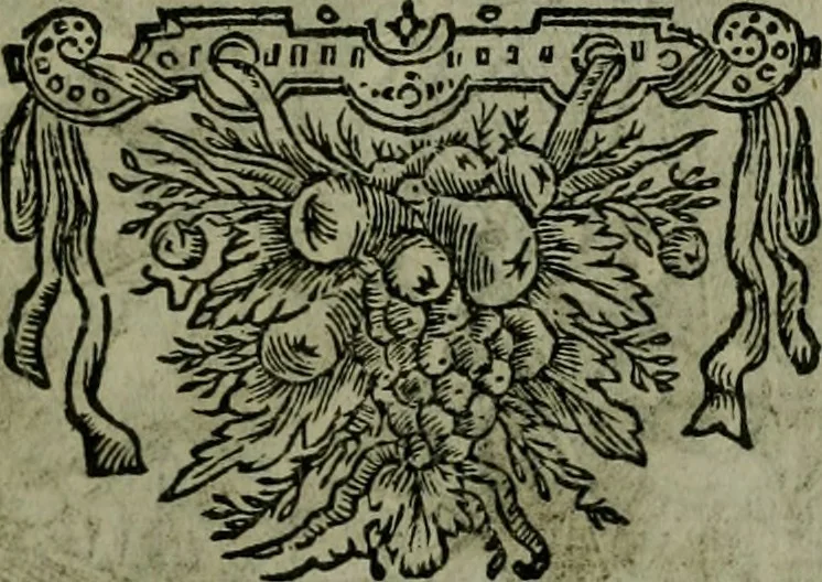 An illustration from Paradisus animae Christianae : lectissimis omnigenae pietatis delitiis amoenus, 1670, leaf 264
