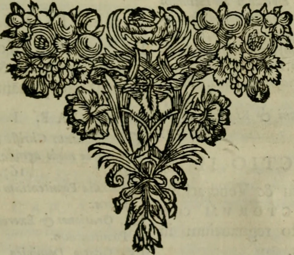 An illustration from Paradisus animae Christianae : lectissimis omnigenae pietatis delitiis amoenus, 1670, leaf 772