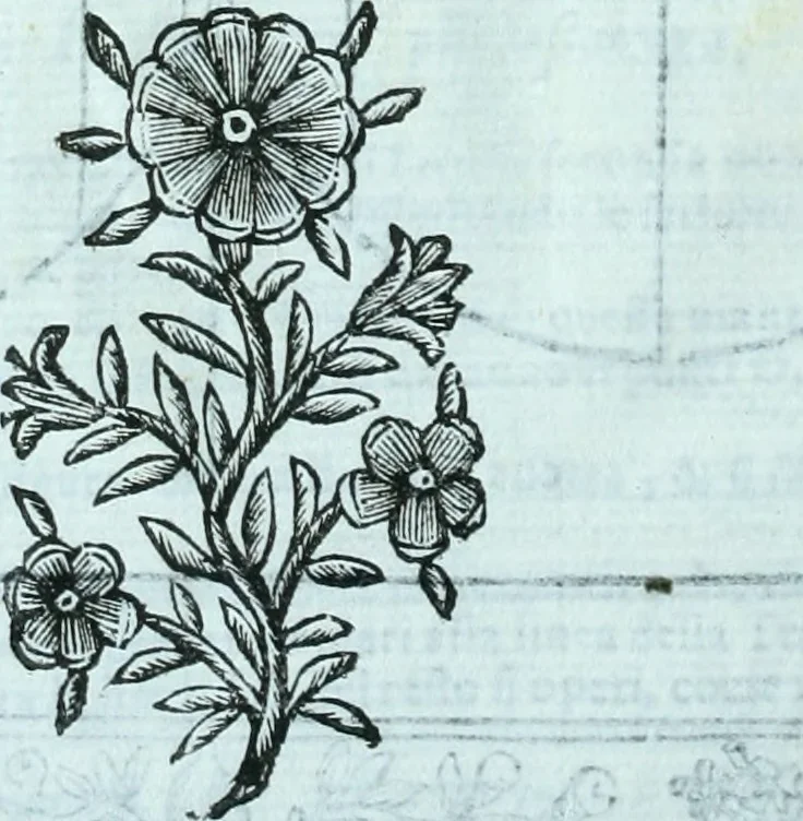 An illustration from Paradossi per pratticare la prospettiva senza saperla, fiori, per facilitare l'intelligenza, frvtti, per non operare alla cieca : cognitioni necessarie a pittori, scultori, architetti, ed à qualunque si diletta di disegno, 1672, leaf 105