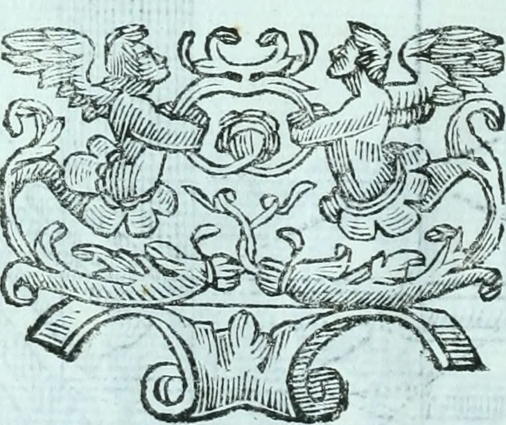 An illustration from Paradossi per pratticare la prospettiva senza saperla, fiori, per facilitare l'intelligenza, frvtti, per non operare alla cieca : cognitioni necessarie a pittori, scultori, architetti, ed à qualunque si diletta di disegno, 1672, leaf 109