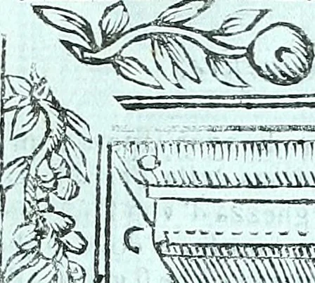 An illustration from Paradossi per pratticare la prospettiva senza saperla, fiori, per facilitare l'intelligenza, frvtti, per non operare alla cieca : cognitioni necessarie a pittori, scultori, architetti, ed à qualunque si diletta di disegno, 1672, leaf 110