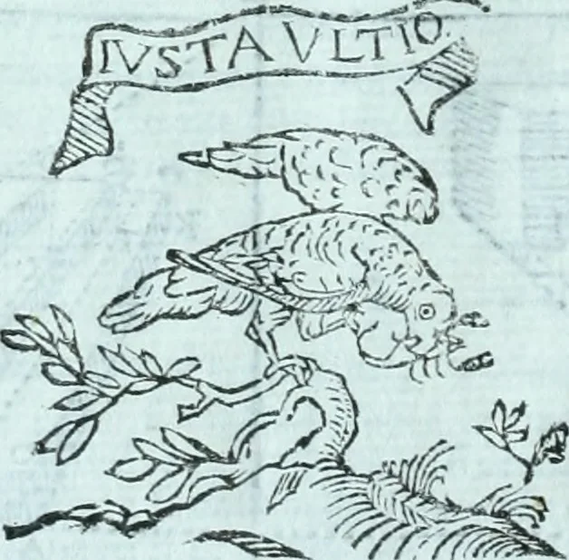 An illustration from Paradossi per pratticare la prospettiva senza saperla, fiori, per facilitare l'intelligenza, frvtti, per non operare alla cieca : cognitioni necessarie a pittori, scultori, architetti, ed à qualunque si diletta di disegno, 1672, leaf 115