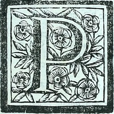 An illustration from Paradossi per pratticare la prospettiva senza saperla, fiori, per facilitare l'intelligenza, frvtti, per non operare alla cieca : cognitioni necessarie a pittori, scultori, architetti, ed à qualunque si diletta di disegno, 1672, leaf 12
