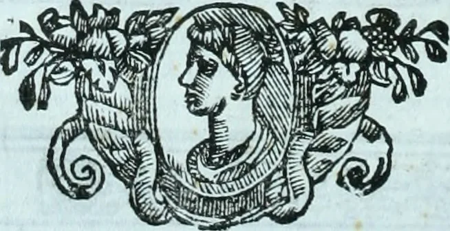 An illustration from Paradossi per pratticare la prospettiva senza saperla, fiori, per facilitare l'intelligenza, frvtti, per non operare alla cieca : cognitioni necessarie a pittori, scultori, architetti, ed à qualunque si diletta di disegno, 1672, leaf 23