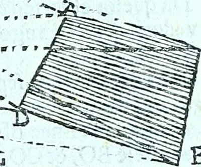 An illustration from Paradossi per pratticare la prospettiva senza saperla, fiori, per facilitare l'intelligenza, frvtti, per non operare alla cieca : cognitioni necessarie a pittori, scultori, architetti, ed à qualunque si diletta di disegno, 1672, leaf 26