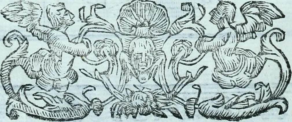 An illustration from Paradossi per pratticare la prospettiva senza saperla, fiori, per facilitare l'intelligenza, frvtti, per non operare alla cieca : cognitioni necessarie a pittori, scultori, architetti, ed à qualunque si diletta di disegno, 1672, leaf 27