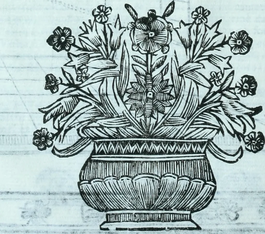 An illustration from Paradossi per pratticare la prospettiva senza saperla, fiori, per facilitare l'intelligenza, frvtti, per non operare alla cieca : cognitioni necessarie a pittori, scultori, architetti, ed à qualunque si diletta di disegno, 1672, leaf 33
