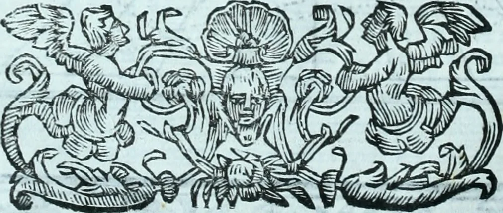 An illustration from Paradossi per pratticare la prospettiva senza saperla, fiori, per facilitare l'intelligenza, frvtti, per non operare alla cieca : cognitioni necessarie a pittori, scultori, architetti, ed à qualunque si diletta di disegno, 1672, leaf 43