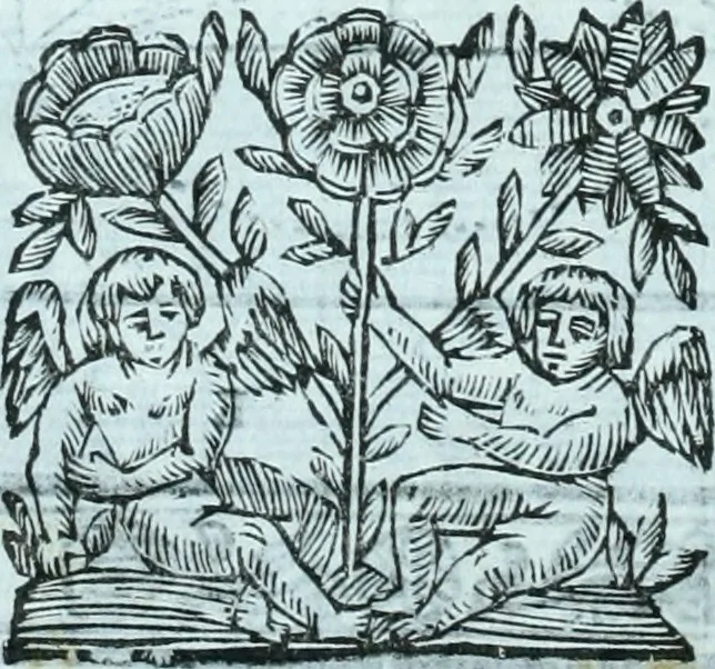 An illustration from Paradossi per pratticare la prospettiva senza saperla, fiori, per facilitare l'intelligenza, frvtti, per non operare alla cieca : cognitioni necessarie a pittori, scultori, architetti, ed à qualunque si diletta di disegno, 1672, leaf 45