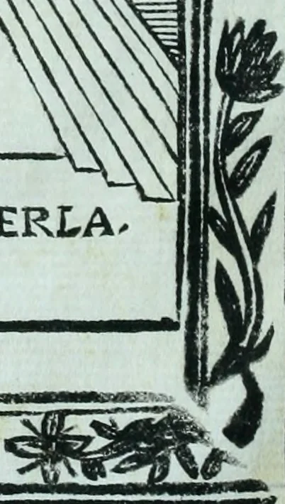 An illustration from Paradossi per pratticare la prospettiva senza saperla, fiori, per facilitare l'intelligenza, frvtti, per non operare alla cieca : cognitioni necessarie a pittori, scultori, architetti, ed à qualunque si diletta di disegno, 1672, leaf 5