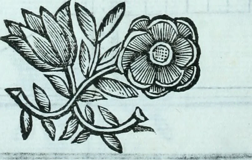 An illustration from Paradossi per pratticare la prospettiva senza saperla, fiori, per facilitare l'intelligenza, frvtti, per non operare alla cieca : cognitioni necessarie a pittori, scultori, architetti, ed à qualunque si diletta di disegno, 1672, leaf 57