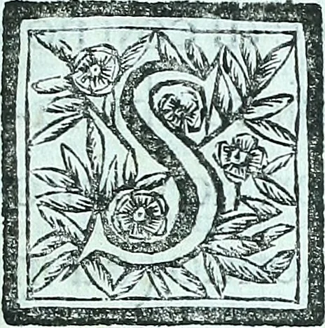 An illustration from Paradossi per pratticare la prospettiva senza saperla, fiori, per facilitare l'intelligenza, frvtti, per non operare alla cieca : cognitioni necessarie a pittori, scultori, architetti, ed à qualunque si diletta di disegno, 1672, leaf 6