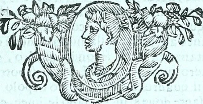 An illustration from Paradossi per pratticare la prospettiva senza saperla, fiori, per facilitare l'intelligenza, frvtti, per non operare alla cieca : cognitioni necessarie a pittori, scultori, architetti, ed à qualunque si diletta di disegno, 1672, leaf 60