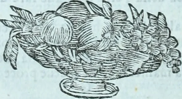 An illustration from Paradossi per pratticare la prospettiva senza saperla, fiori, per facilitare l'intelligenza, frvtti, per non operare alla cieca : cognitioni necessarie a pittori, scultori, architetti, ed à qualunque si diletta di disegno, 1672, leaf 61