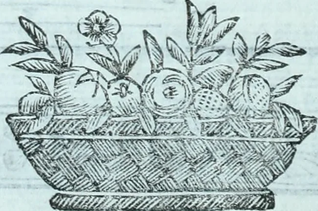 An illustration from Paradossi per pratticare la prospettiva senza saperla, fiori, per facilitare l'intelligenza, frvtti, per non operare alla cieca : cognitioni necessarie a pittori, scultori, architetti, ed à qualunque si diletta di disegno, 1672, leaf 67