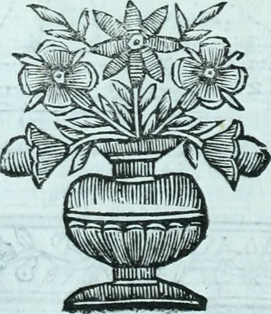 An illustration from Paradossi per pratticare la prospettiva senza saperla, fiori, per facilitare l'intelligenza, frvtti, per non operare alla cieca : cognitioni necessarie a pittori, scultori, architetti, ed à qualunque si diletta di disegno, 1672, leaf 73