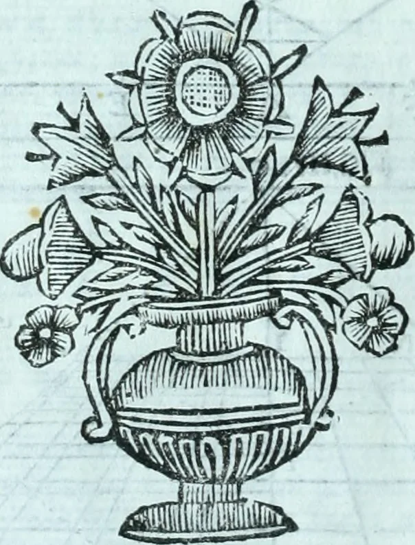 An illustration from Paradossi per pratticare la prospettiva senza saperla, fiori, per facilitare l'intelligenza, frvtti, per non operare alla cieca : cognitioni necessarie a pittori, scultori, architetti, ed à qualunque si diletta di disegno, 1672, leaf 77