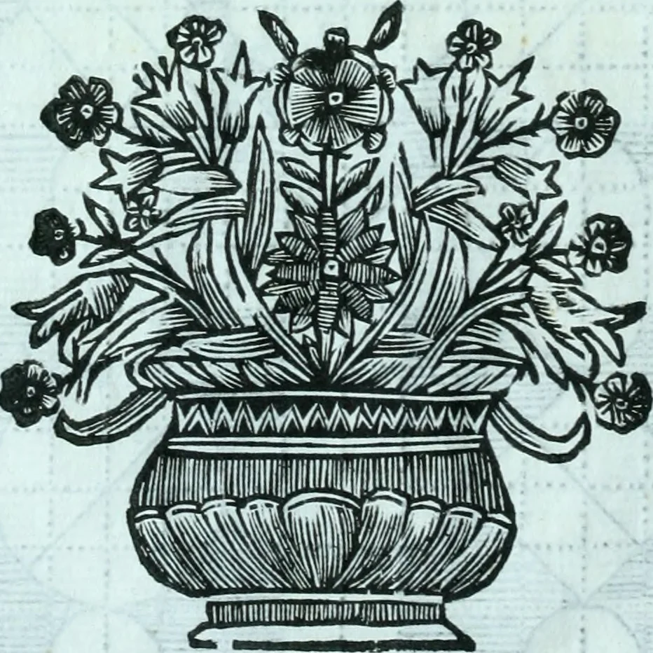 An illustration from Paradossi per pratticare la prospettiva senza saperla, fiori, per facilitare l'intelligenza, frvtti, per non operare alla cieca : cognitioni necessarie a pittori, scultori, architetti, ed à qualunque si diletta di disegno, 1672, leaf 79