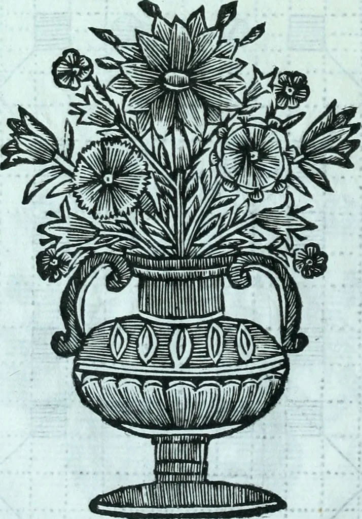 An illustration from Paradossi per pratticare la prospettiva senza saperla, fiori, per facilitare l'intelligenza, frvtti, per non operare alla cieca : cognitioni necessarie a pittori, scultori, architetti, ed à qualunque si diletta di disegno, 1672, leaf 81