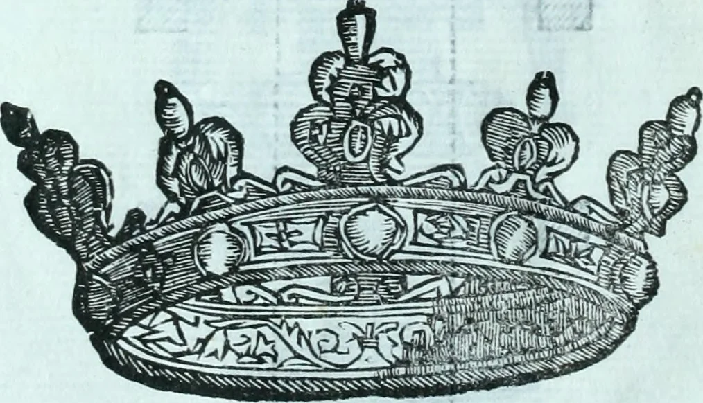 An illustration from Paradossi per pratticare la prospettiva senza saperla, fiori, per facilitare l'intelligenza, frvtti, per non operare alla cieca : cognitioni necessarie a pittori, scultori, architetti, ed à qualunque si diletta di disegno, 1672, leaf 83