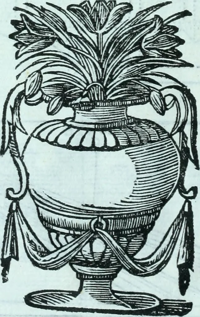 An illustration from Paradossi per pratticare la prospettiva senza saperla, fiori, per facilitare l'intelligenza, frvtti, per non operare alla cieca : cognitioni necessarie a pittori, scultori, architetti, ed à qualunque si diletta di disegno, 1672, leaf 85