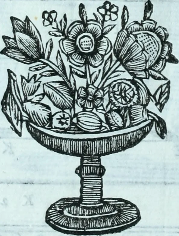 An illustration from Paradossi per pratticare la prospettiva senza saperla, fiori, per facilitare l'intelligenza, frvtti, per non operare alla cieca : cognitioni necessarie a pittori, scultori, architetti, ed à qualunque si diletta di disegno, 1672, leaf 87