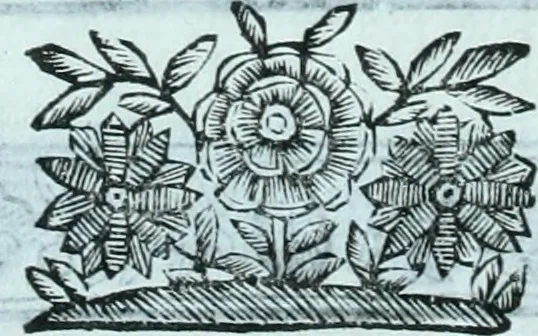 An illustration from Paradossi per pratticare la prospettiva senza saperla, fiori, per facilitare l'intelligenza, frvtti, per non operare alla cieca : cognitioni necessarie a pittori, scultori, architetti, ed à qualunque si diletta di disegno, 1672, leaf 95