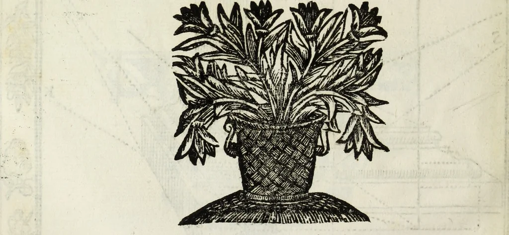 An illustration from Paradossi per pratticare la prospettiua senza saperla, fiori, per facilitare l'intelligenza, frutti, per non operare alla cieca : cognitioni necessarie à pittori, scultori, architetti, ed à qualunque si diletta di disegno, 1683, leaf 109