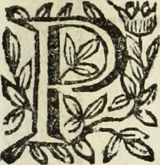 An illustration from Paradossi per pratticare la prospettiua senza saperla, fiori, per facilitare l'intelligenza, frutti, per non operare alla cieca : cognitioni necessarie à pittori, scultori, architetti, ed à qualunque si diletta di disegno, 1683, leaf 119