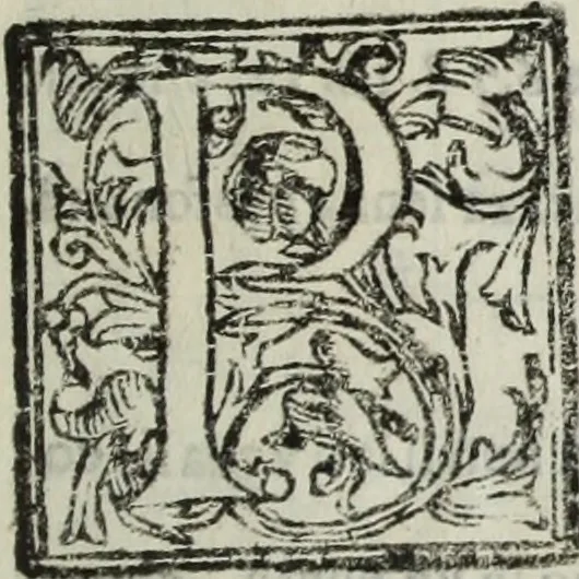 An illustration from Paradossi per pratticare la prospettiua senza saperla, fiori, per facilitare l'intelligenza, frutti, per non operare alla cieca : cognitioni necessarie à pittori, scultori, architetti, ed à qualunque si diletta di disegno, 1683, leaf 12