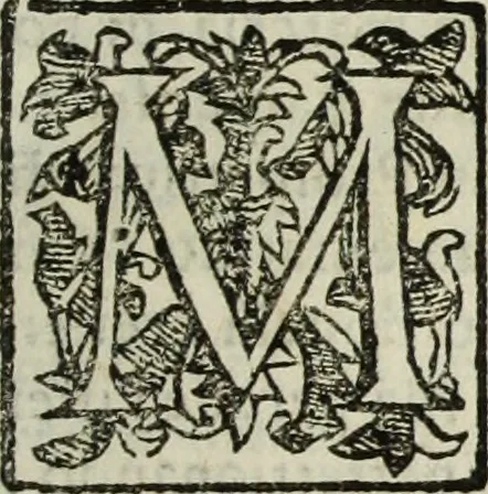 An illustration from Paradossi per pratticare la prospettiua senza saperla, fiori, per facilitare l'intelligenza, frutti, per non operare alla cieca : cognitioni necessarie à pittori, scultori, architetti, ed à qualunque si diletta di disegno, 1683, leaf 136