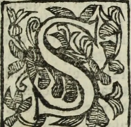 An illustration from Paradossi per pratticare la prospettiua senza saperla, fiori, per facilitare l'intelligenza, frutti, per non operare alla cieca : cognitioni necessarie à pittori, scultori, architetti, ed à qualunque si diletta di disegno, 1683, leaf 138