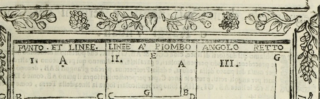 An illustration from Paradossi per pratticare la prospettiua senza saperla, fiori, per facilitare l'intelligenza, frutti, per non operare alla cieca : cognitioni necessarie à pittori, scultori, architetti, ed à qualunque si diletta di disegno, 1683, leaf 14