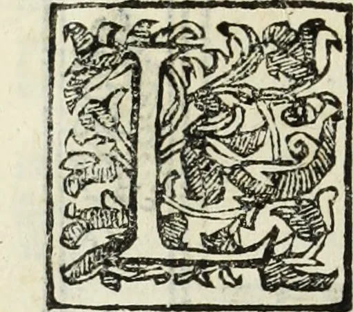 An illustration from Paradossi per pratticare la prospettiua senza saperla, fiori, per facilitare l'intelligenza, frutti, per non operare alla cieca : cognitioni necessarie à pittori, scultori, architetti, ed à qualunque si diletta di disegno, 1683, leaf 143