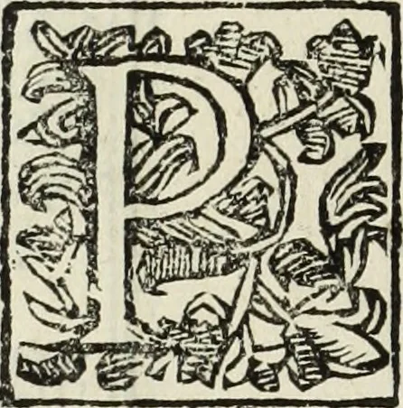 An illustration from Paradossi per pratticare la prospettiua senza saperla, fiori, per facilitare l'intelligenza, frutti, per non operare alla cieca : cognitioni necessarie à pittori, scultori, architetti, ed à qualunque si diletta di disegno, 1683, leaf 147