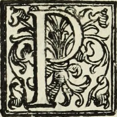 An illustration from Paradossi per pratticare la prospettiua senza saperla, fiori, per facilitare l'intelligenza, frutti, per non operare alla cieca : cognitioni necessarie à pittori, scultori, architetti, ed à qualunque si diletta di disegno, 1683, leaf 149