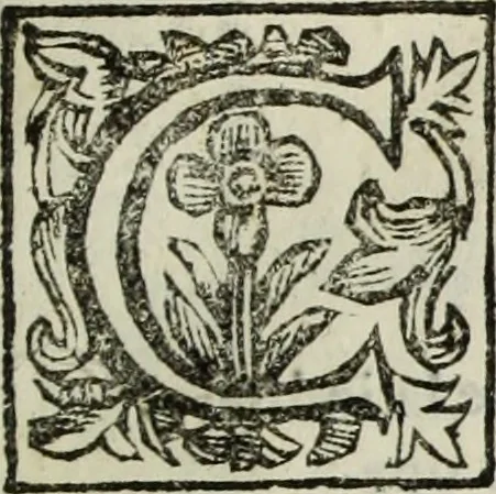 An illustration from Paradossi per pratticare la prospettiua senza saperla, fiori, per facilitare l'intelligenza, frutti, per non operare alla cieca : cognitioni necessarie à pittori, scultori, architetti, ed à qualunque si diletta di disegno, 1683, leaf 150