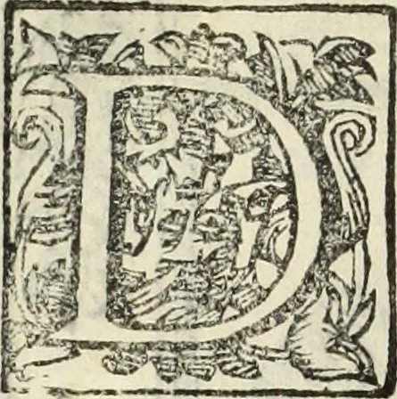 An illustration from Paradossi per pratticare la prospettiua senza saperla, fiori, per facilitare l'intelligenza, frutti, per non operare alla cieca : cognitioni necessarie à pittori, scultori, architetti, ed à qualunque si diletta di disegno, 1683, leaf 153
