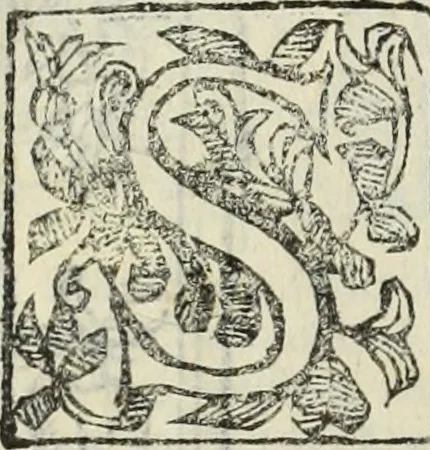 An illustration from Paradossi per pratticare la prospettiua senza saperla, fiori, per facilitare l'intelligenza, frutti, per non operare alla cieca : cognitioni necessarie à pittori, scultori, architetti, ed à qualunque si diletta di disegno, 1683, leaf 155