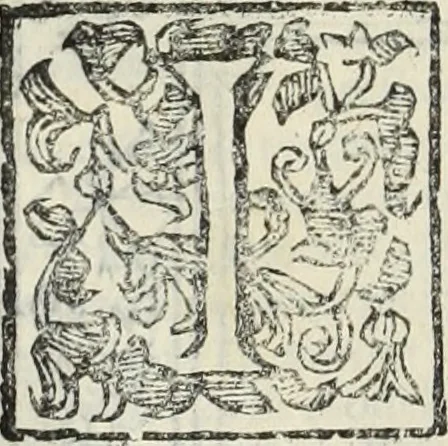 An illustration from Paradossi per pratticare la prospettiua senza saperla, fiori, per facilitare l'intelligenza, frutti, per non operare alla cieca : cognitioni necessarie à pittori, scultori, architetti, ed à qualunque si diletta di disegno, 1683, leaf 155
