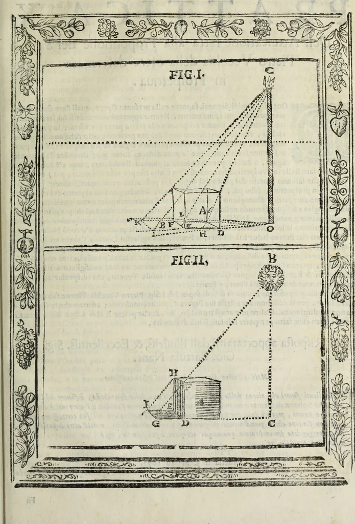 An illustration from Paradossi per pratticare la prospettiua senza saperla, fiori, per facilitare l'intelligenza, frutti, per non operare alla cieca : cognitioni necessarie à pittori, scultori, architetti, ed à qualunque si diletta di disegno, 1683, leaf 156