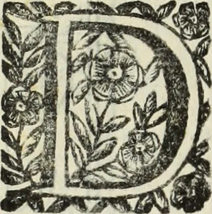 An illustration from Paradossi per pratticare la prospettiua senza saperla, fiori, per facilitare l'intelligenza, frutti, per non operare alla cieca : cognitioni necessarie à pittori, scultori, architetti, ed à qualunque si diletta di disegno, 1683, leaf 157