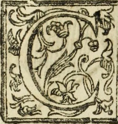 An illustration from Paradossi per pratticare la prospettiua senza saperla, fiori, per facilitare l'intelligenza, frutti, per non operare alla cieca : cognitioni necessarie à pittori, scultori, architetti, ed à qualunque si diletta di disegno, 1683, leaf 161