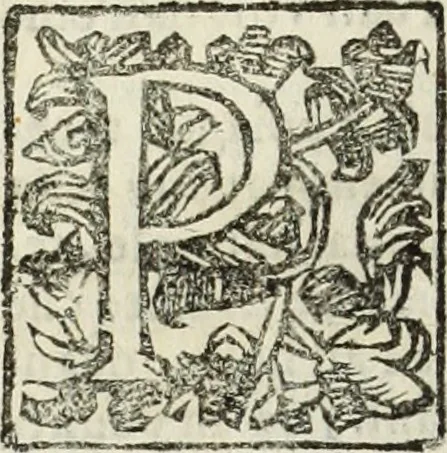 An illustration from Paradossi per pratticare la prospettiua senza saperla, fiori, per facilitare l'intelligenza, frutti, per non operare alla cieca : cognitioni necessarie à pittori, scultori, architetti, ed à qualunque si diletta di disegno, 1683, leaf 165